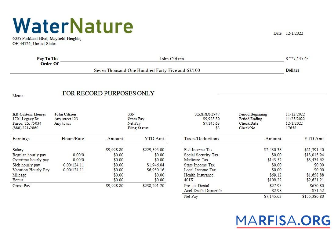 Blank Water company editable earning statement real example